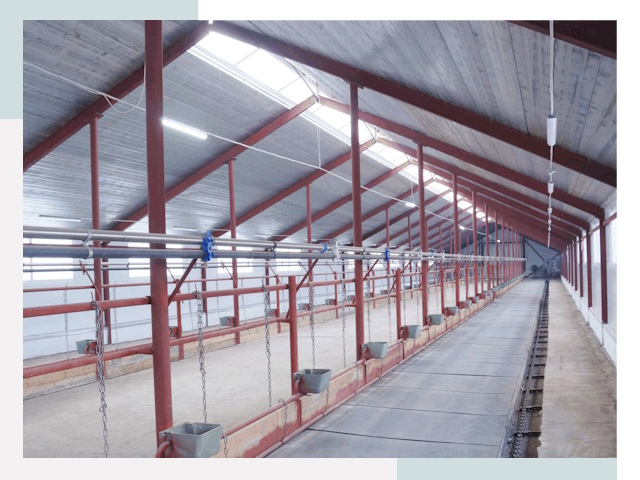 Строительство коровников в Ишимбае от 608 руб.