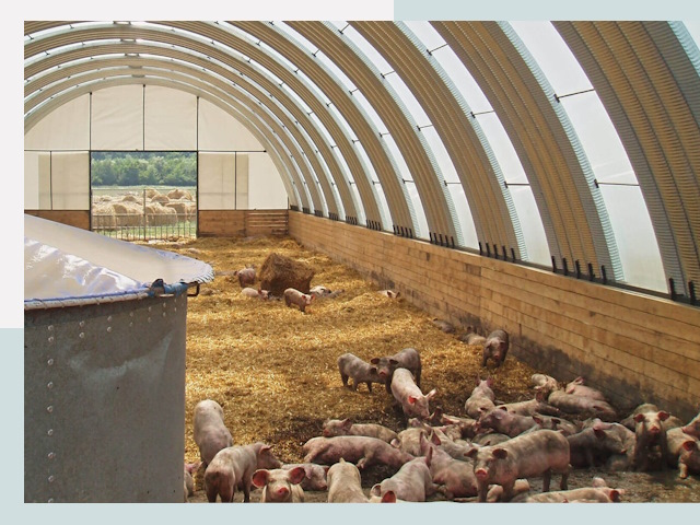 Строительство свинарников в Ишимбае