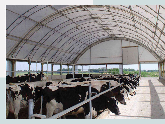 Тентовые коровники в Ишимбае